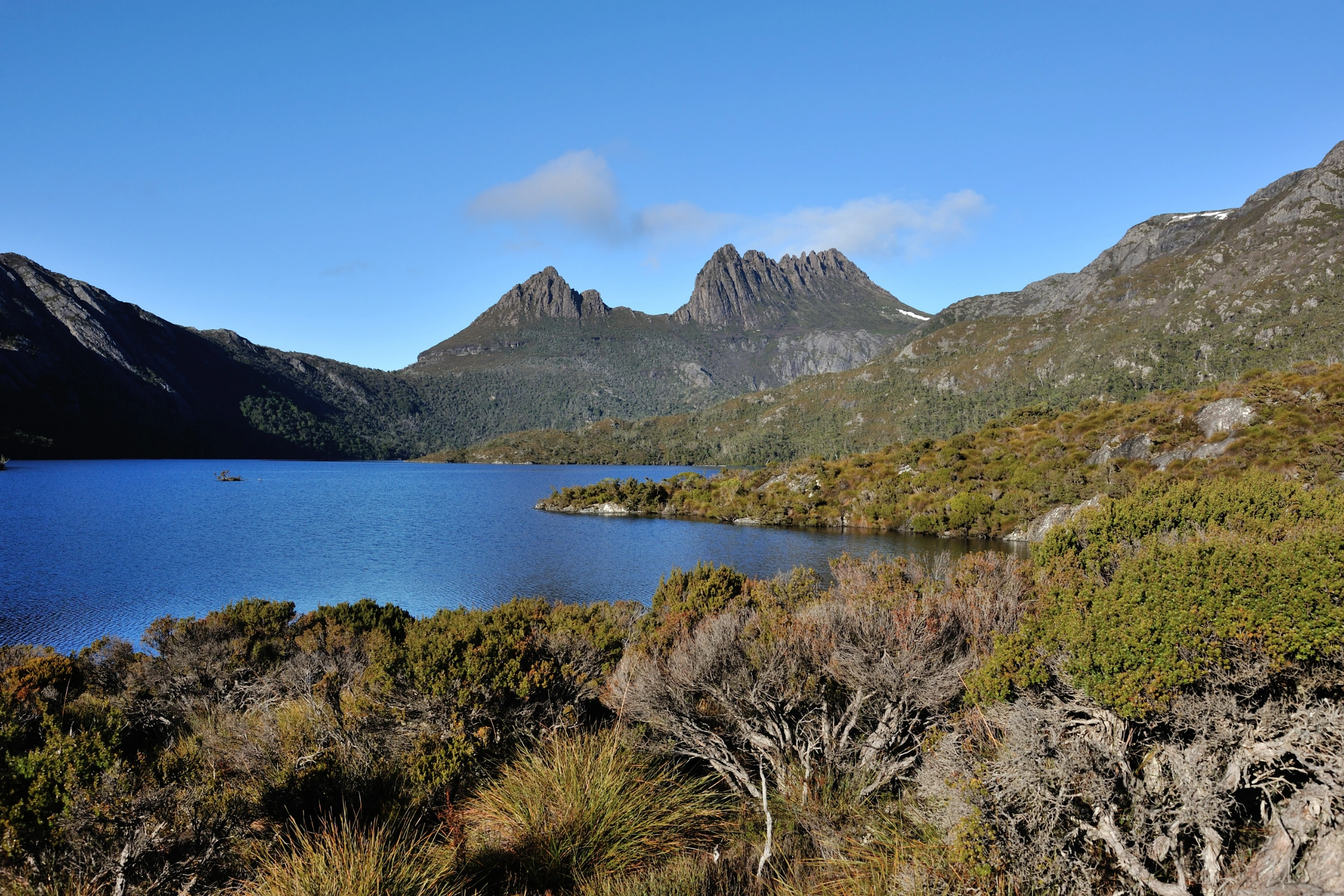 Lake_St_Clair_National_Park,_Tasmania[1].webp